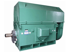 弋阳Y系列6KV高压电机生产厂家